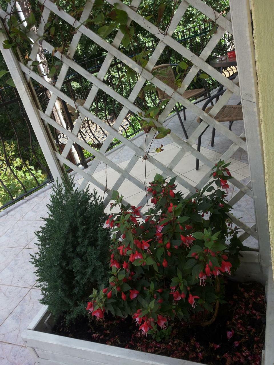 Apartamento Muszla Pobierowo Exterior foto
